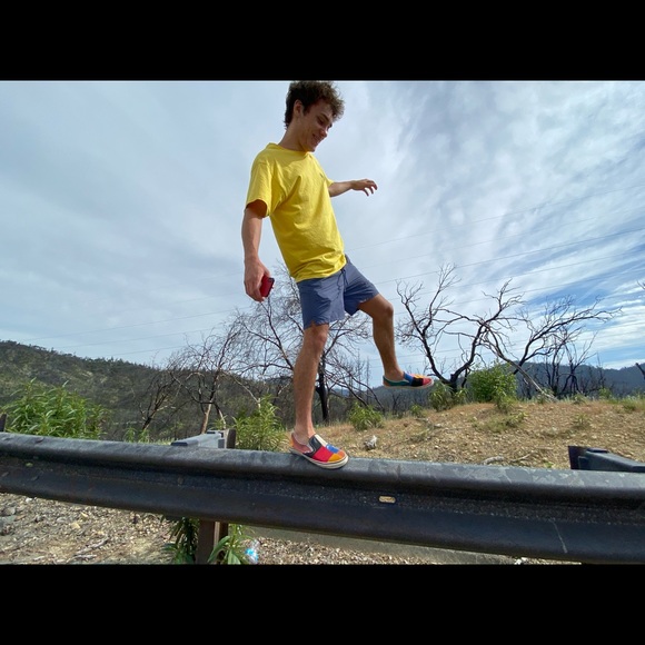 Meet your Posher, Logan - Picture 1 of 1